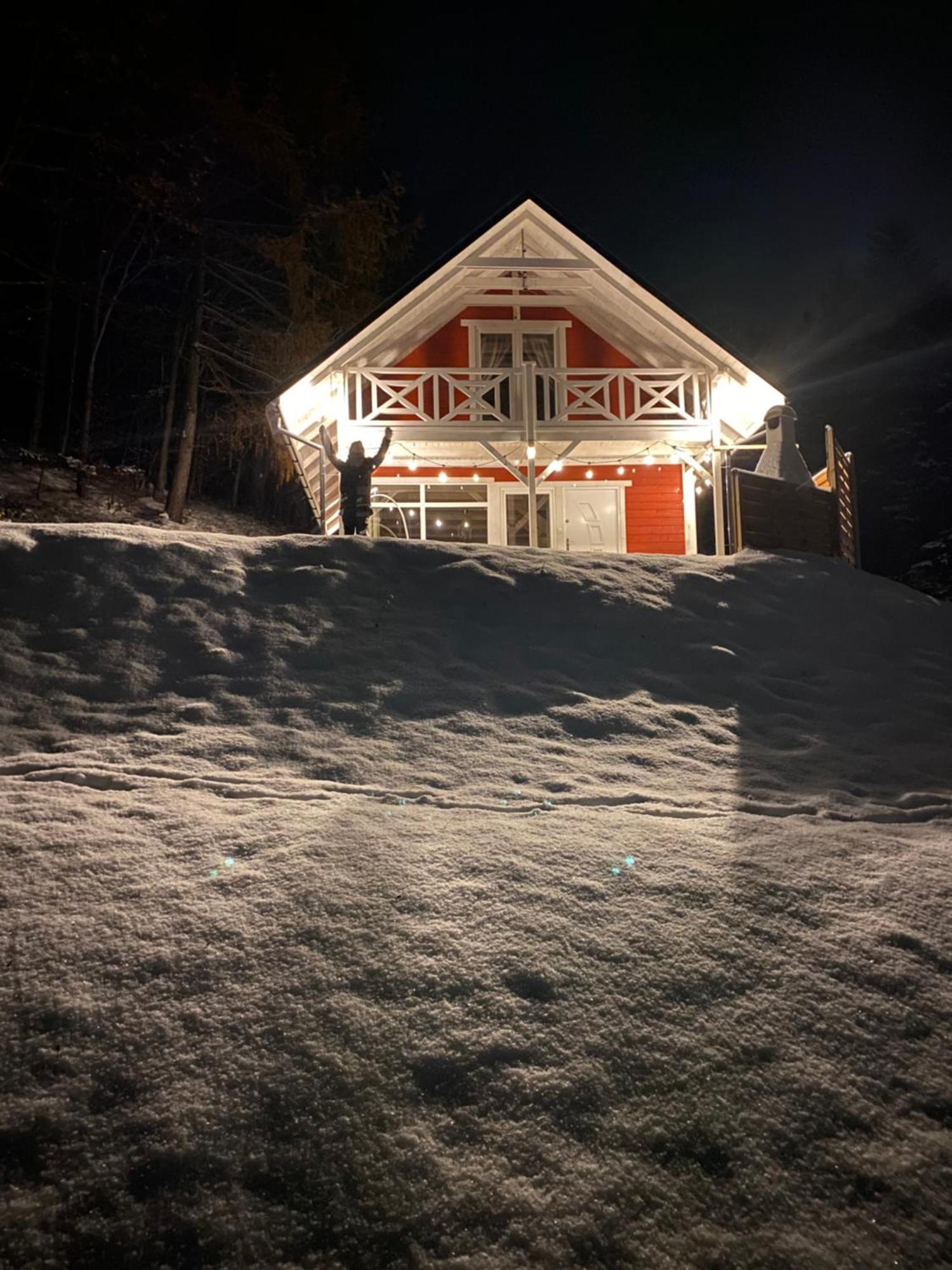 Forest House タルガニツェ エクステリア 写真