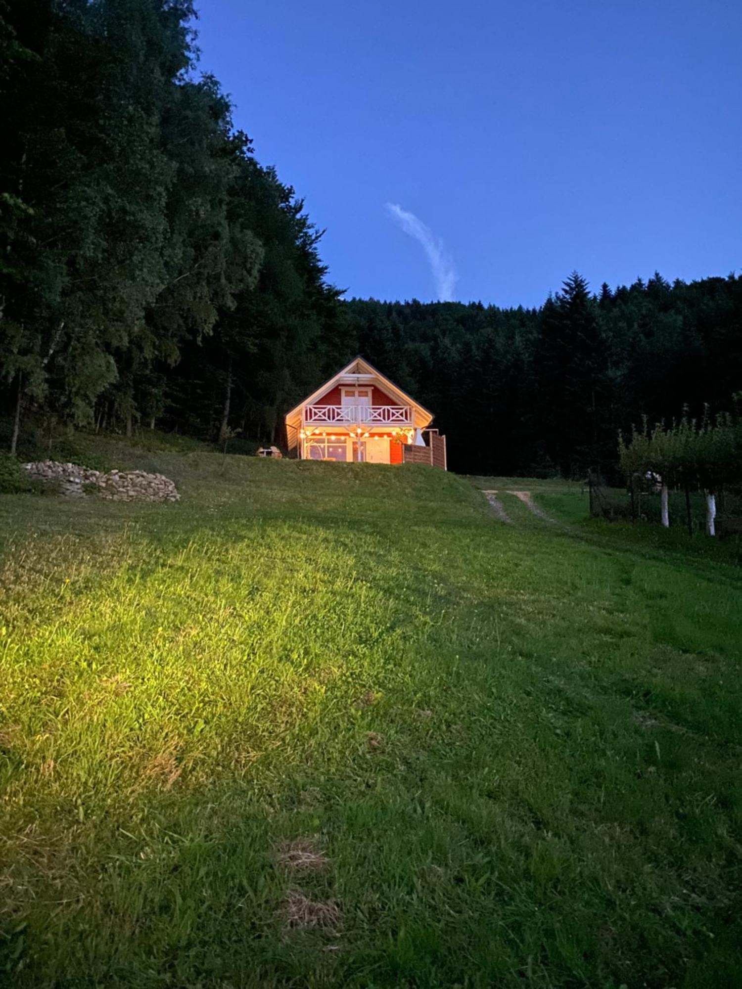 Forest House タルガニツェ エクステリア 写真